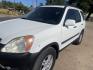 2003 WHITE /GREY Honda CR-V EX 4WD 4-spd AT (SHSRD78873U) with an 2.4L L4 DOHC 16V engine, 4A OD transmission, located at 2425 Franklin Ave., Waco, TX, 76701, (254) 753-6661, 31.540359, -97.148682 - ALL WHEEL DRIVE HONDA CRV WITH 129,418 MILES. Nice SUV with a lot of life left in it. Clean interior, cold A/C, Sunroof, 2.4L. New serpentine belt and radiator - this one is ready for you. Call 254-753-6661 for test drive appt. Cash or outside financing - we can suggest a local lender. $40- Photo#3